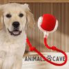 Animalscave - Wunder-Ball
