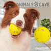 Animalscave - KnabberBall
