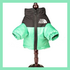 Wasserfeste Hundewinterjacke