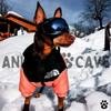 Wasserfeste Hundewinterjacke